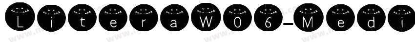 LiteraW05-Medium Reg字体转换